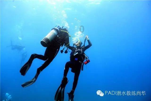 僵尸躲避战